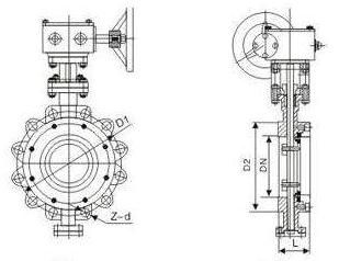 Lug Butterfly Valve Dimensions