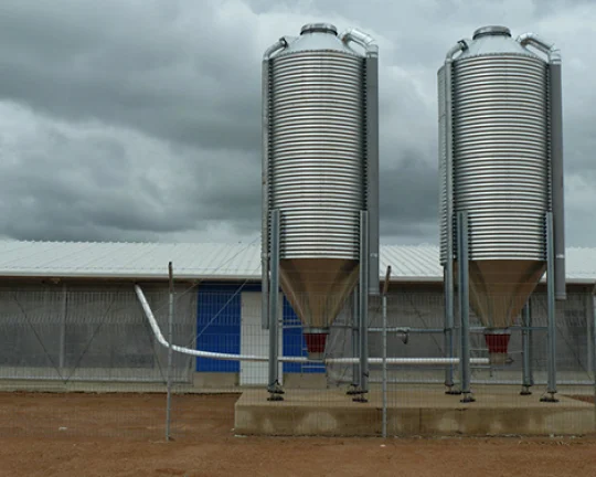Vietnam Steel Structure Poultry House 132x14x2.4M