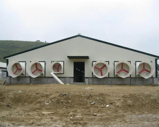 Low Cost Steel Broiler Poultry Farm Chicken Eggs House