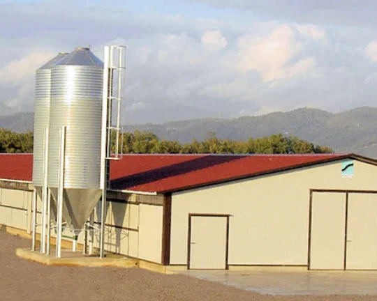 Panama 10 Sets Broiler House 150x16x3M