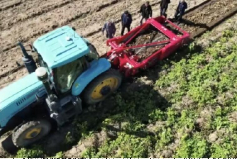 2026 Agricultural Mechanization: Ruijinfeng Specialized Potato and Herbal Machinery for Large-Scale Farming