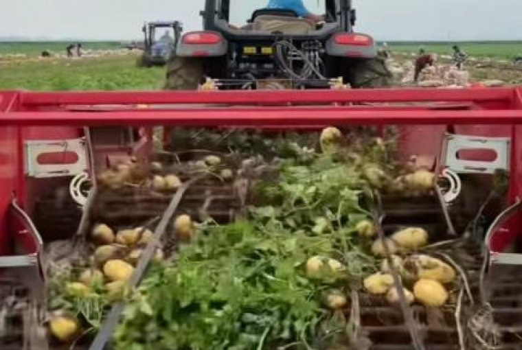Nineharvest Ships Large Batch of Premium Potato & Peanut Harvester Parts to Global Markets