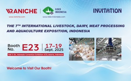 青岛雷尼将参加2025年印度尼西亚国际家禽畜牧展并展出家禽屠宰设备