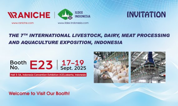 青岛雷尼将在2025年印尼国际家禽展上展出家禽屠宰设备