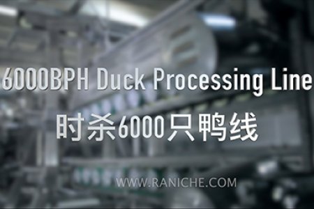 雷尼 6000BPH 鸭屠宰加工生产线