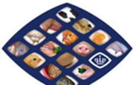 邀请函 - VIV THAI 2017