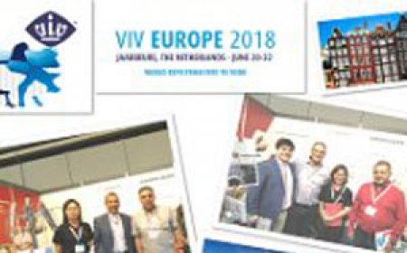 RANICHE 参加荷兰 VIV EUROPE 展会