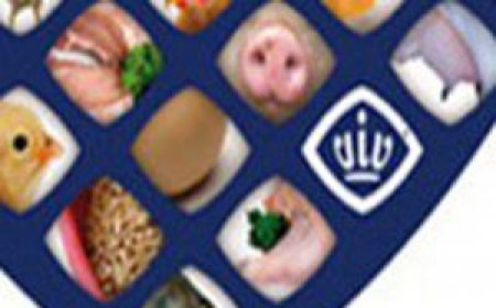 邀请函 - VIV CHINA 2016