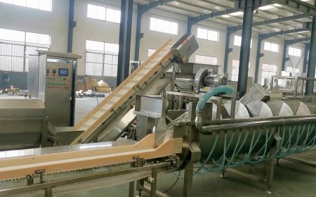 鸡爪加工线测试