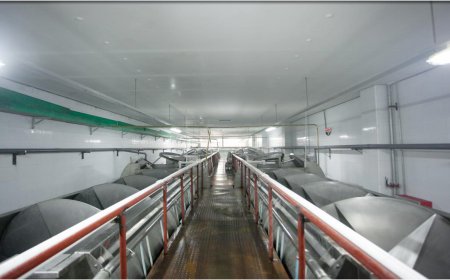 预冷处理单元-水冷却和沥水