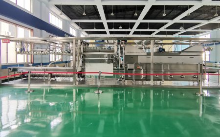 RANICHE 预安装即用型加工生产线 最高可达 1000 BPH