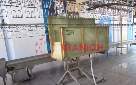 屠宰加工流水线设备——电晕机