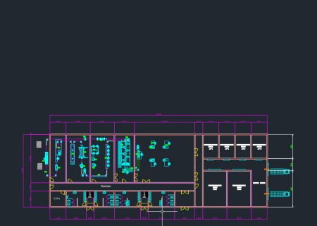 每小时 1000 只禽类屠宰线总体布局