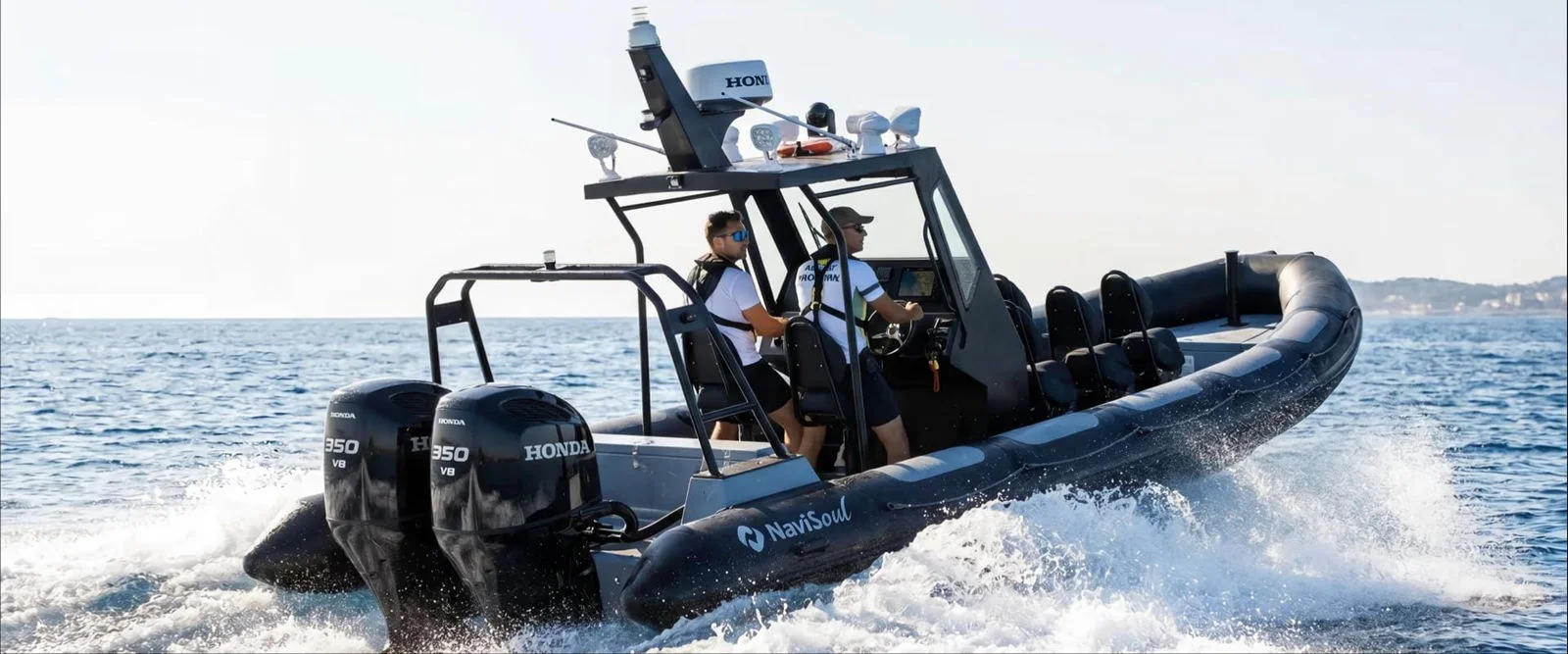 NAVISOUL 960 PROTECTOR