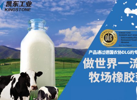 奶牛感觉舒适的卧床-摘自中国奶牛2013.13