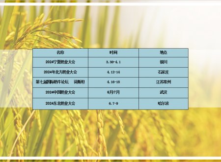 2024年凯东展讯