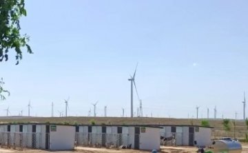 Four types of dairy cow bed