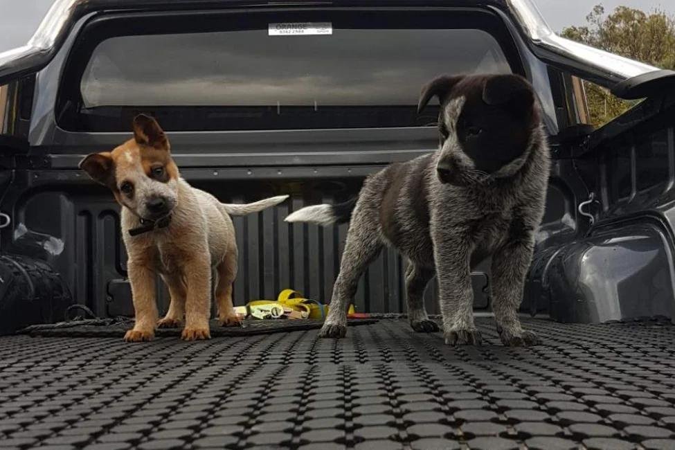 DeckTred-ExtraApplication4x6