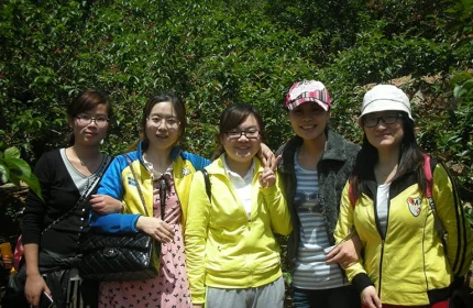 Laoshan beizhai cherry festival,May 2014