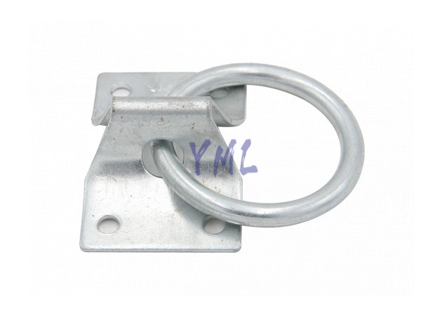 RG19 Anillo de pasajeros