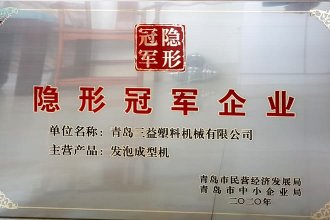 Hidden champion enterprises