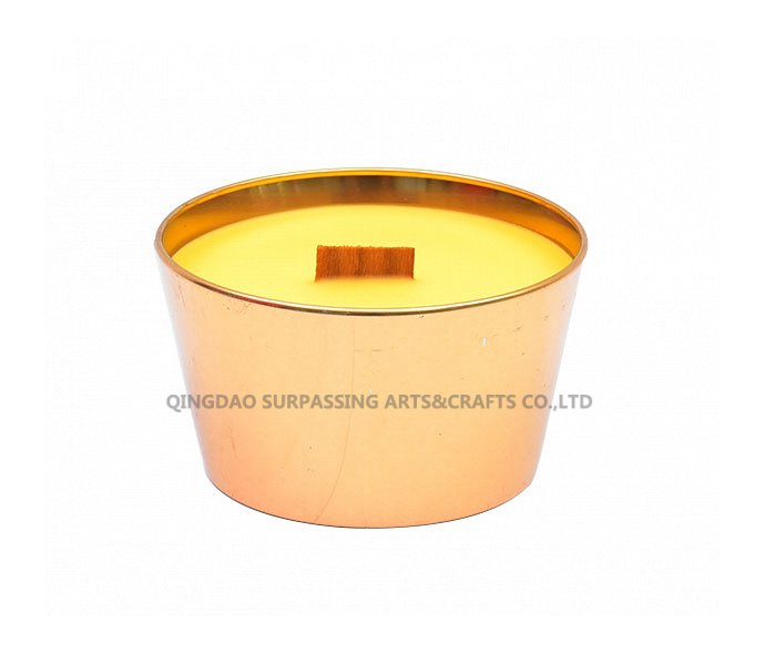 C23T0001 Outdoor Citronella candle